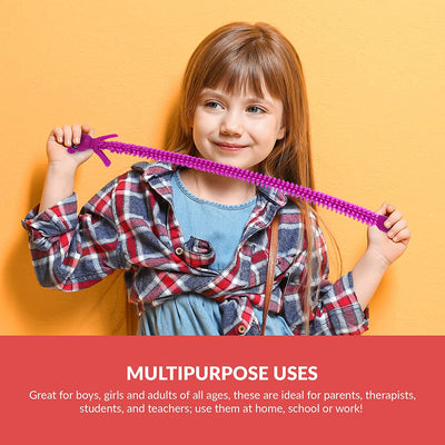 Colorful Sensory Fidget Animal Stretchy String ( Set of 12)
