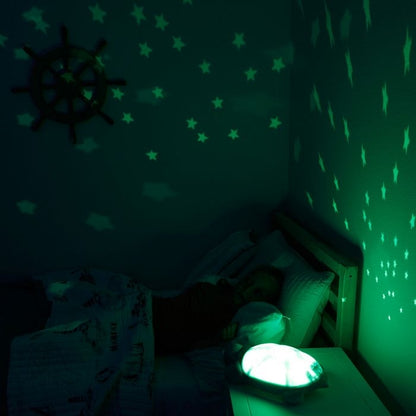 Twilight Turtle Sensory Room Light (Stars Projection)