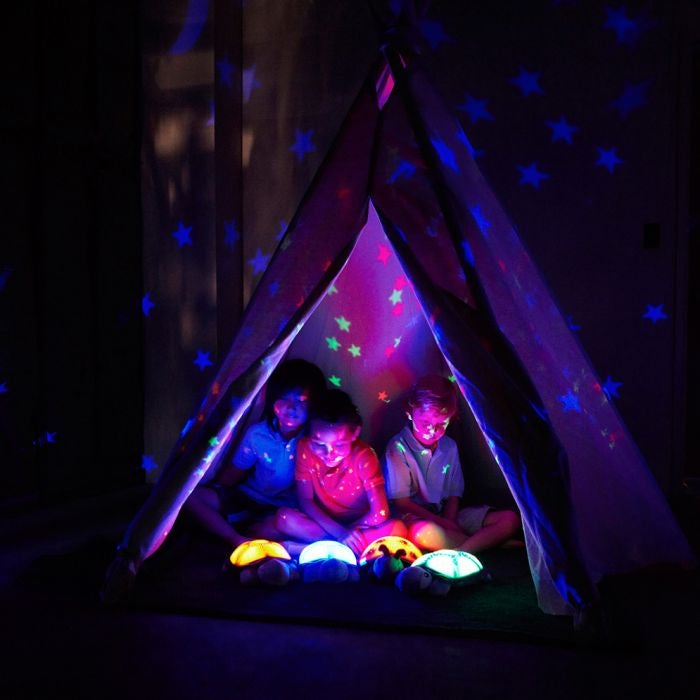 Twilight Turtle Sensory Room Light (Stars Projection)