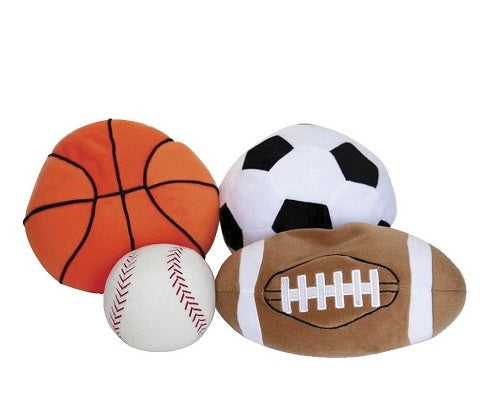 Weighted Sports ball Set