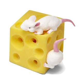 Stretchy Mice And Cheese Fun